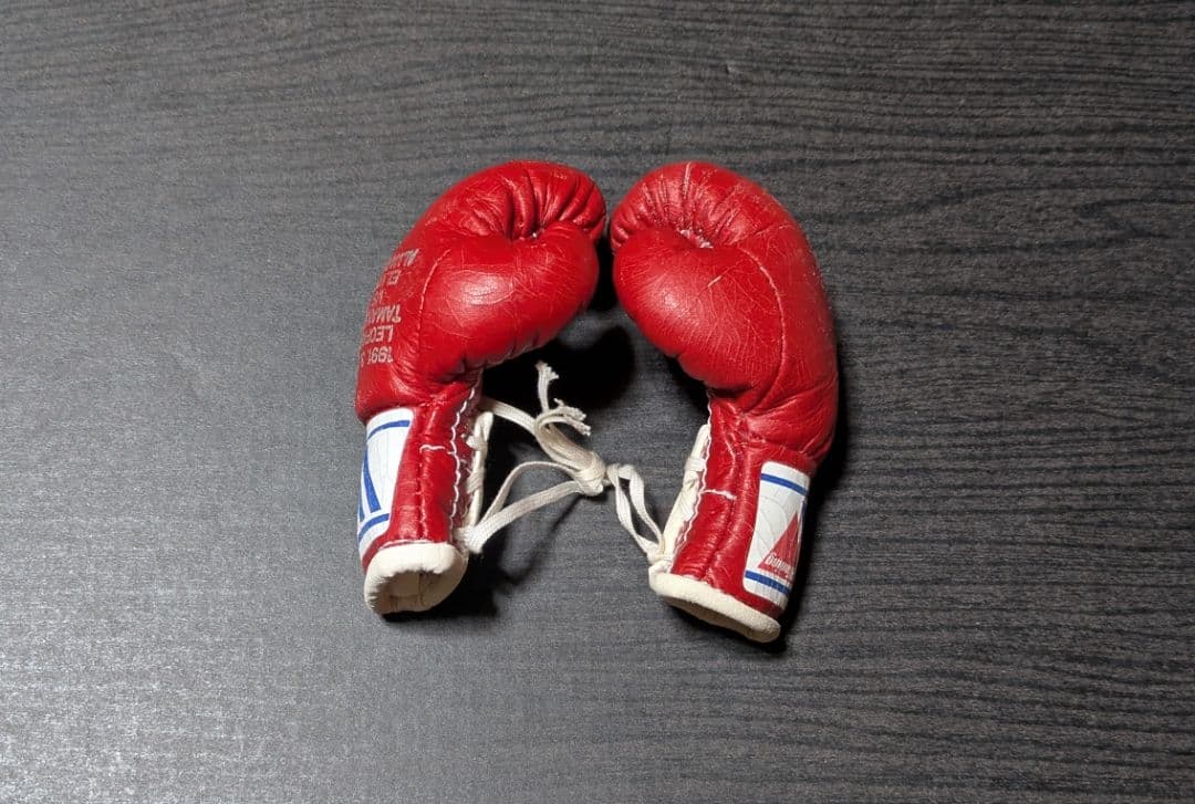 ボクシング マスコットグローブ レパード玉熊×アルバレス