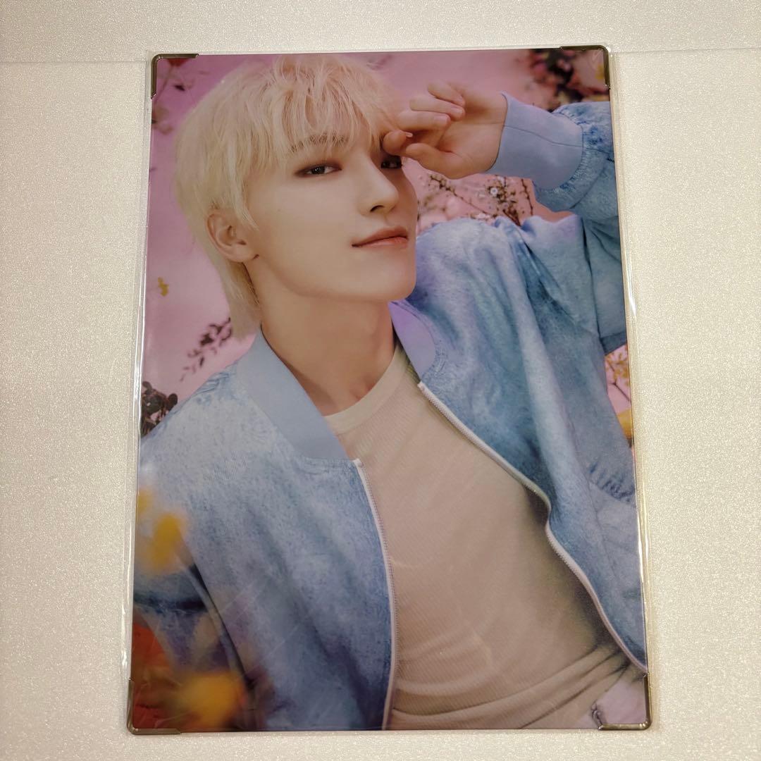 ディノ DINO always yours プレミアムフォト SEVENTEEN