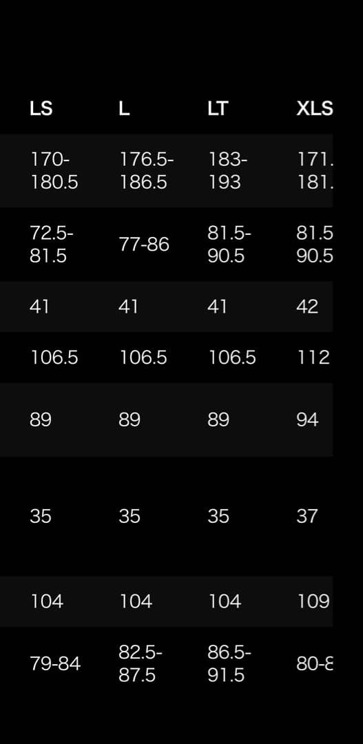 パタゴニア メンズ R1 ライトユーレックス シーガル USモデル Lサイズ