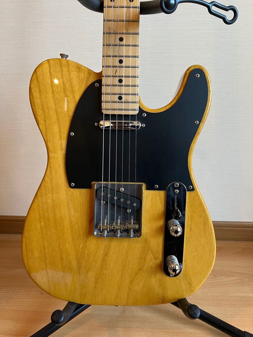 Fujigen Neo Classic NTL10MAH 2015年製