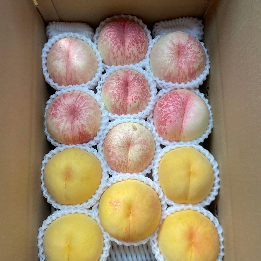 山形県産　桃②ご家庭用幻の桃シーエックス・西尾ゴールド箱込み6.5キロ