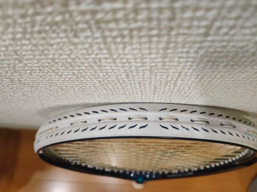 限定　エンブレム　EMBLEM 120 Prince　テニスラケット