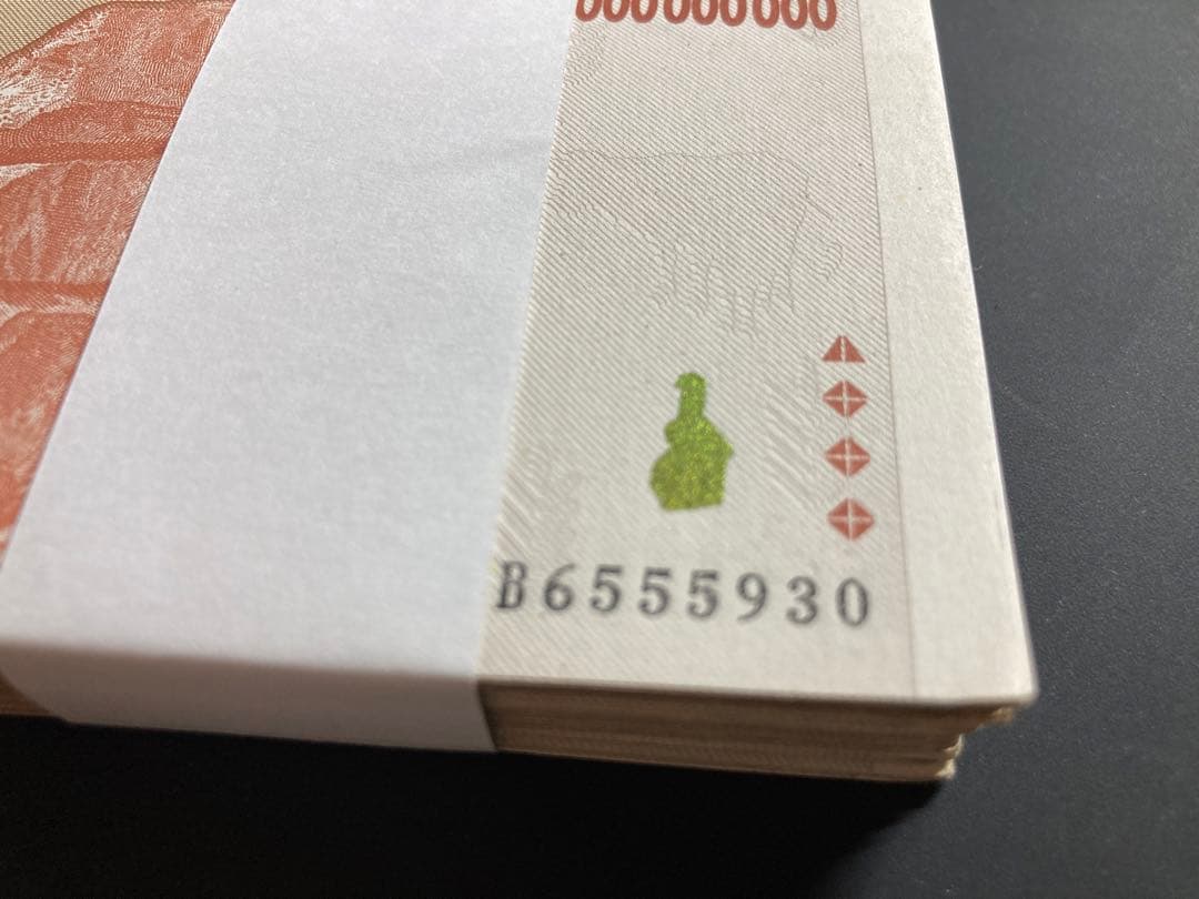 ジンバブエドル・500億ドル札/100枚