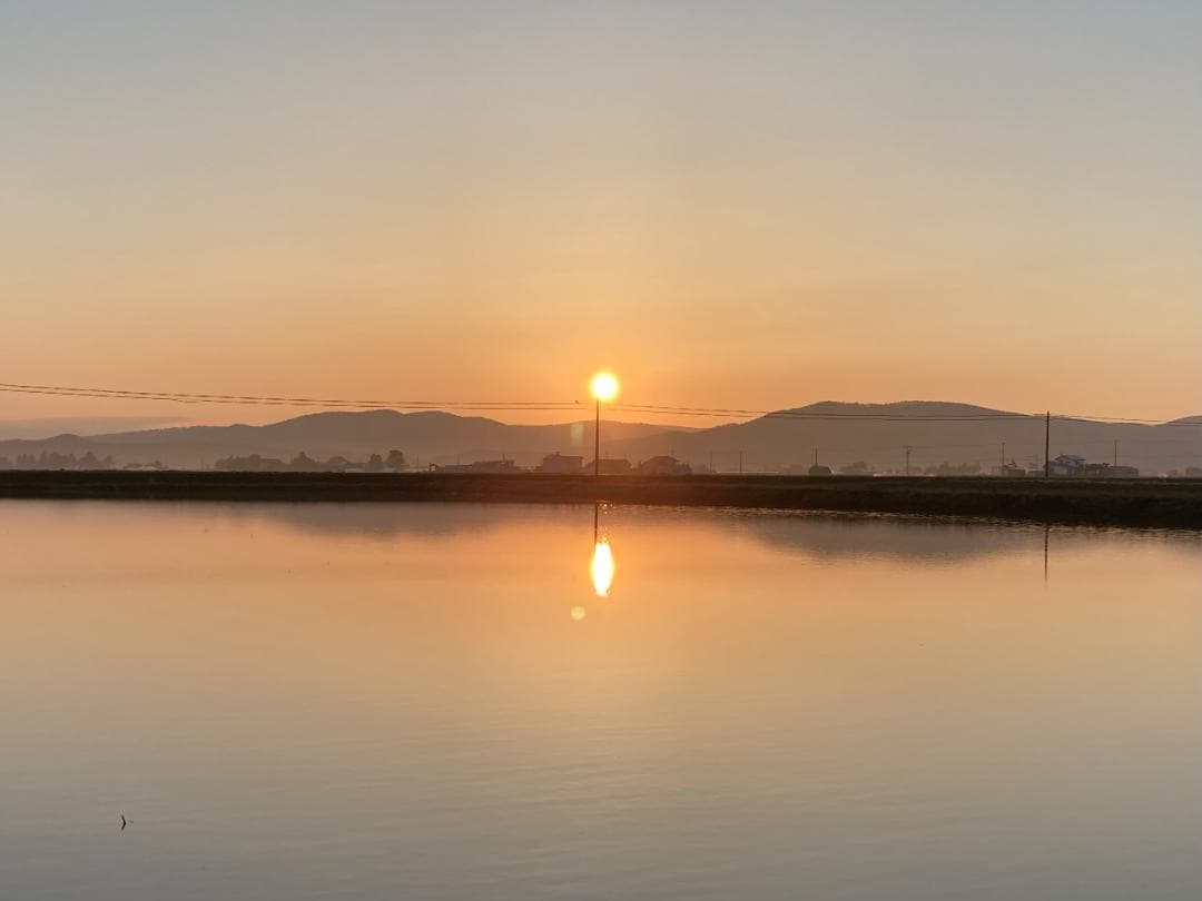 令和7年度北海道産ななつぼし玄米２０㎏農家直送