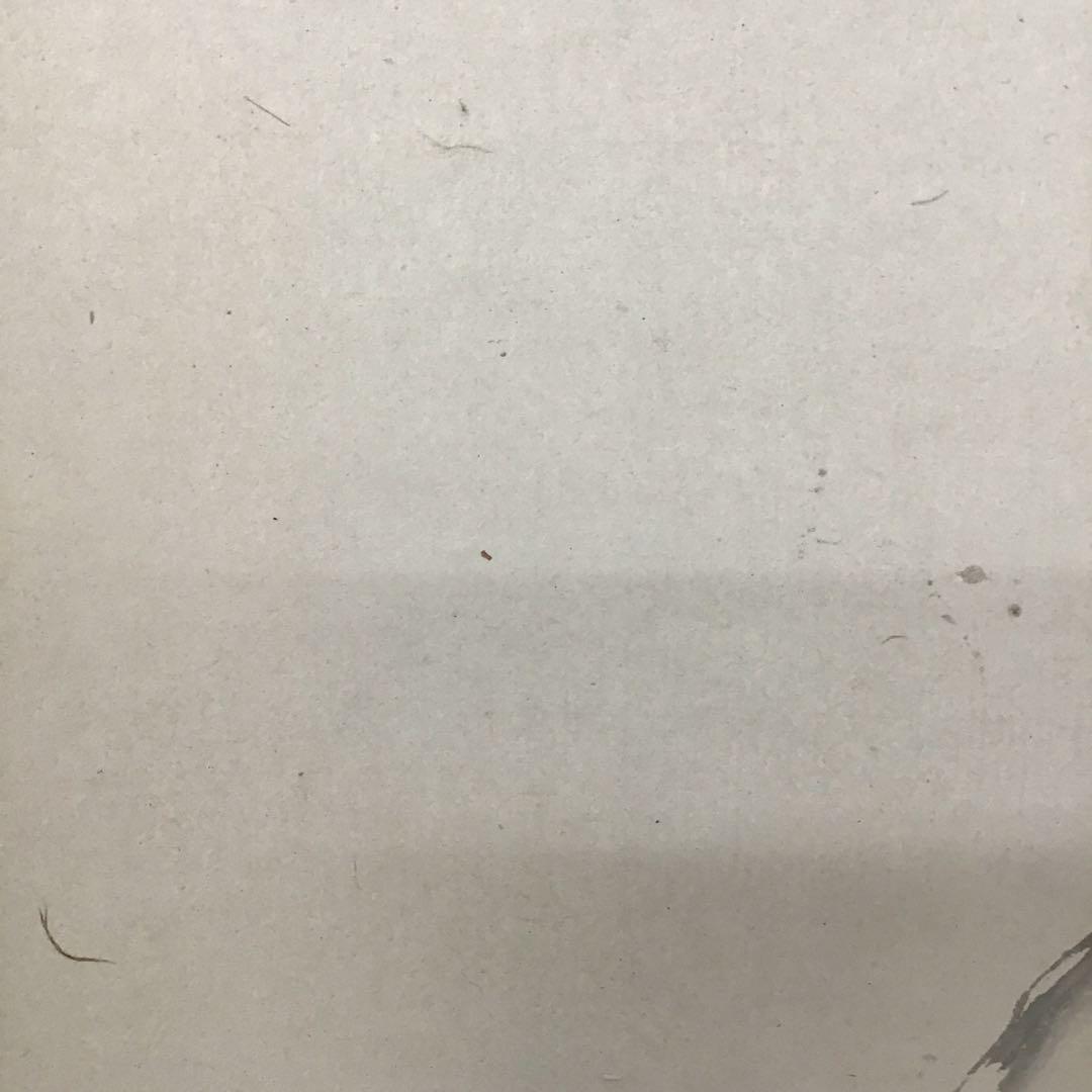 K茶道具　掛軸　「秋山鹿」　丹羽玉邦(にわぎょくほう)作　共箱　S976KJ