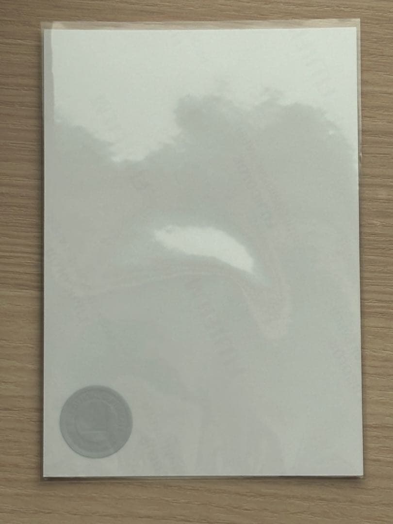 櫻坂46 武元唯衣 直筆サイン入り写真