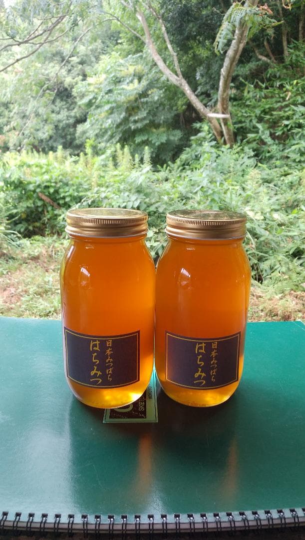 日本ミツバチ蜂蜜百花蜜　1000ｇ2本