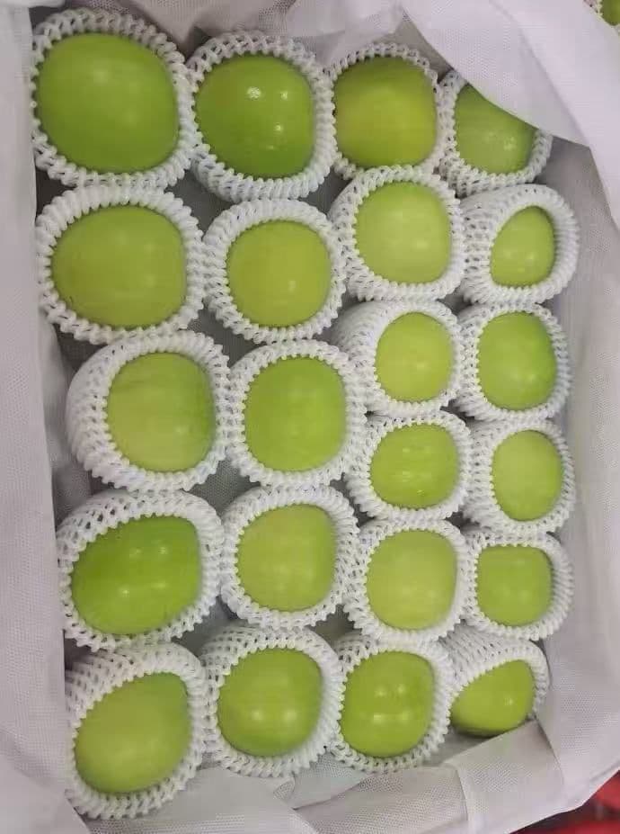 205.新鮮台湾ナツメ　台湾青棗 2.5kg前後(１８~24玉)玉数お任せ