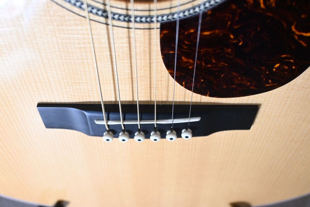 Martin OMC-16 OGTE 【ハードケース付 弦交換済（エリクサー）】