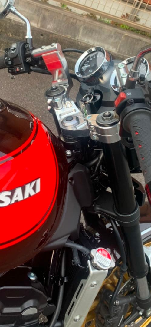 z900rsセパレートハンドオーバーレーシング(シルバー)