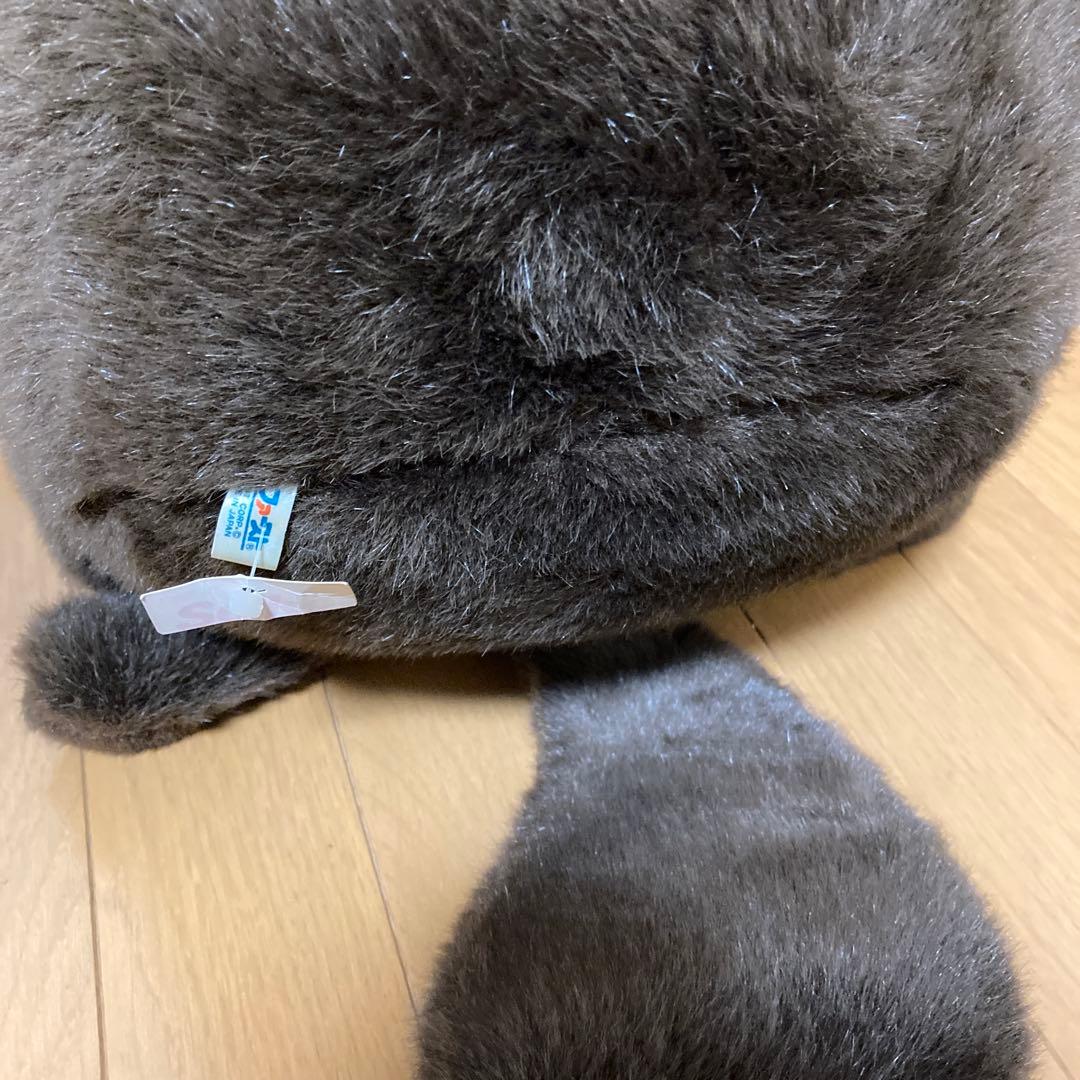 たま吉 たぬき ぬいぐるみ ファースト