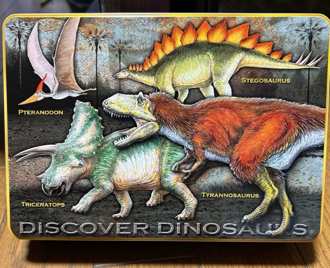 ダイナソー　チョコレートの空き箱