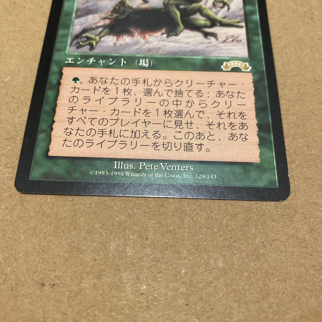 MTG 適者生存/Survival of the Fittest 日本語