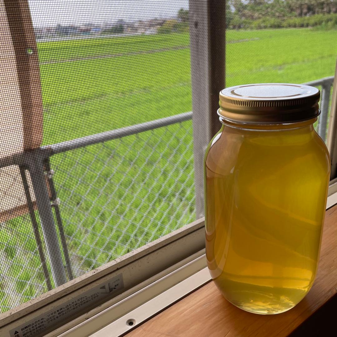 天然100%絞り立て生はちみつ　1.2Kg1個