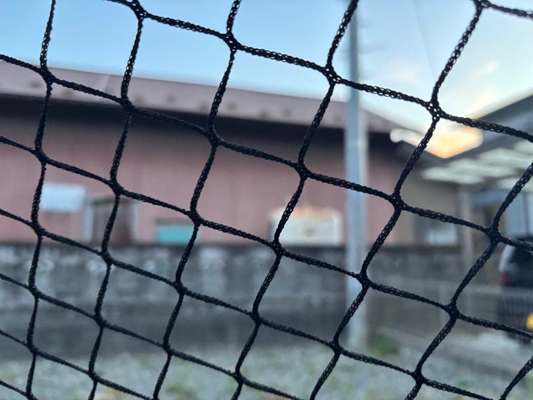 野球　自主練　ネット