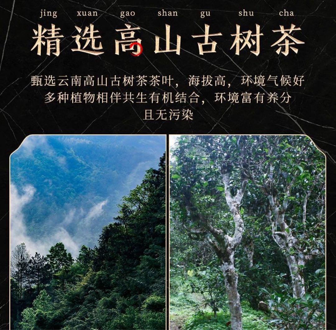 プーアル茶 缶入り