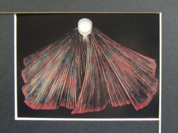 レオノール・フィニ「静寂の選択」、希少画集より、状態良好、新品高級額装付