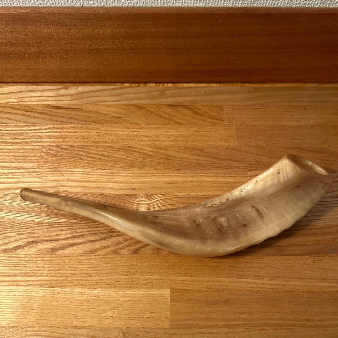 Shofar ショファール 約30cm メノラー刻印あり 実用可