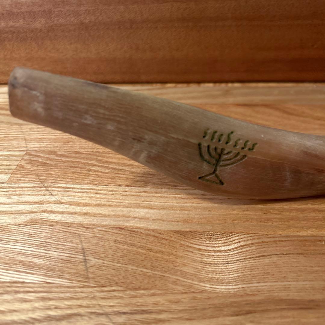 Shofar ショファール 約30cm メノラー刻印あり 実用可