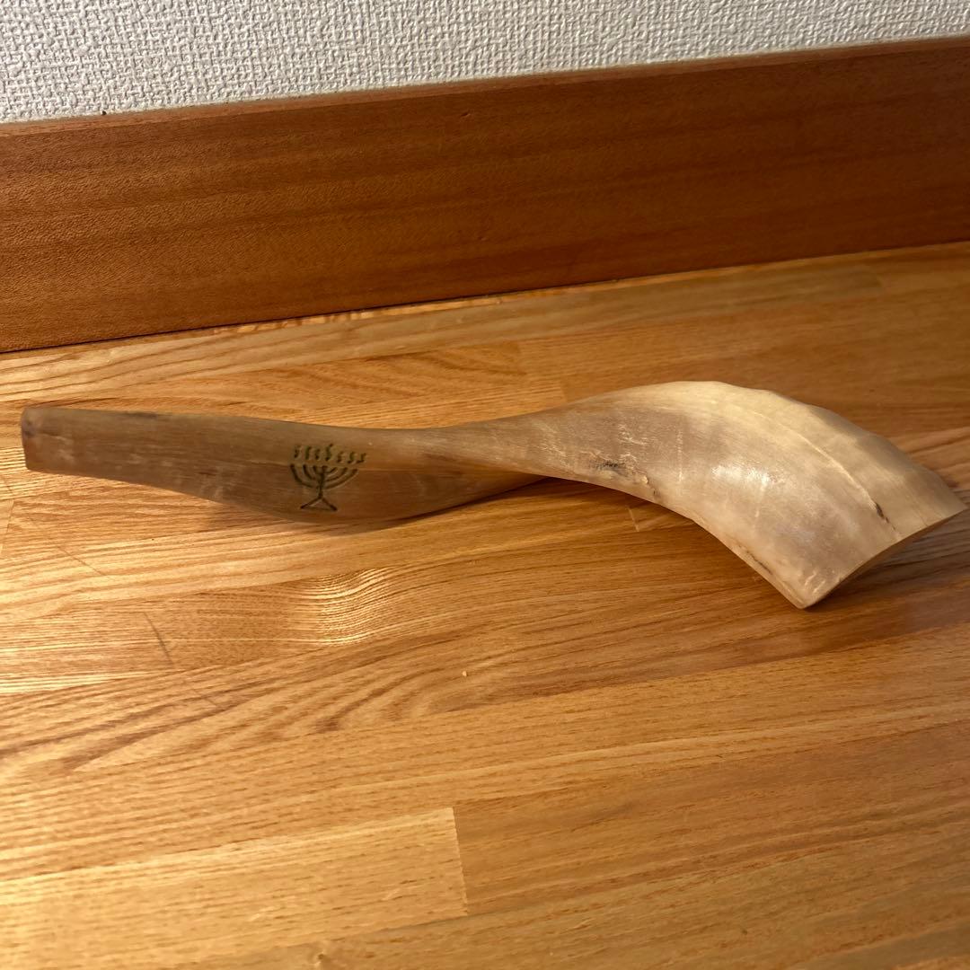 Shofar ショファール 約30cm メノラー刻印あり 実用可