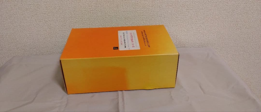 1/6　マグナカルタ　リース　ガレージキット