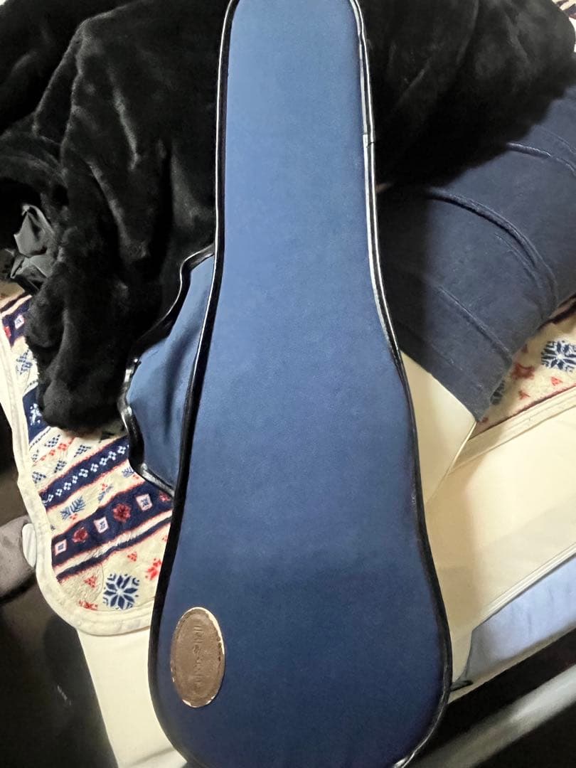 木製バイオリン 4弦 ケース付き