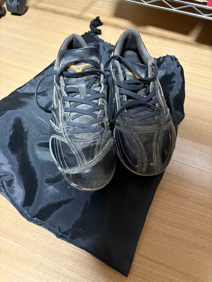 Mizuno Pro スパイク