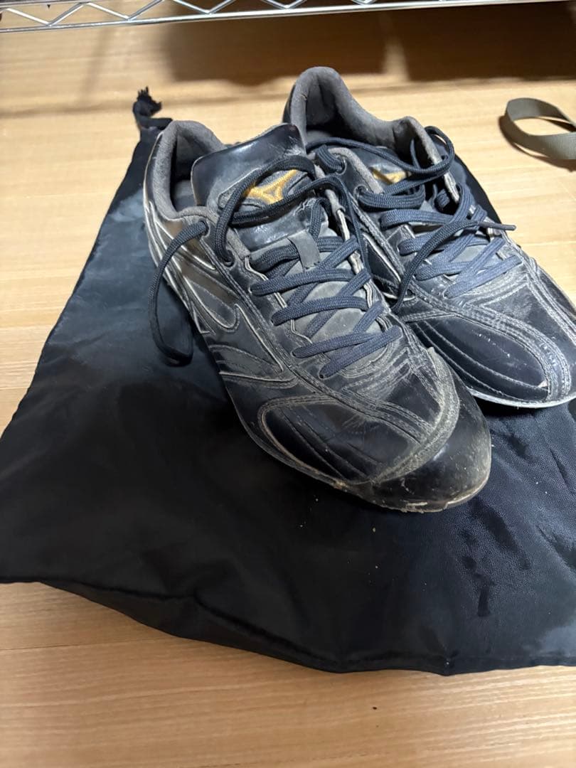 Mizuno Pro スパイク