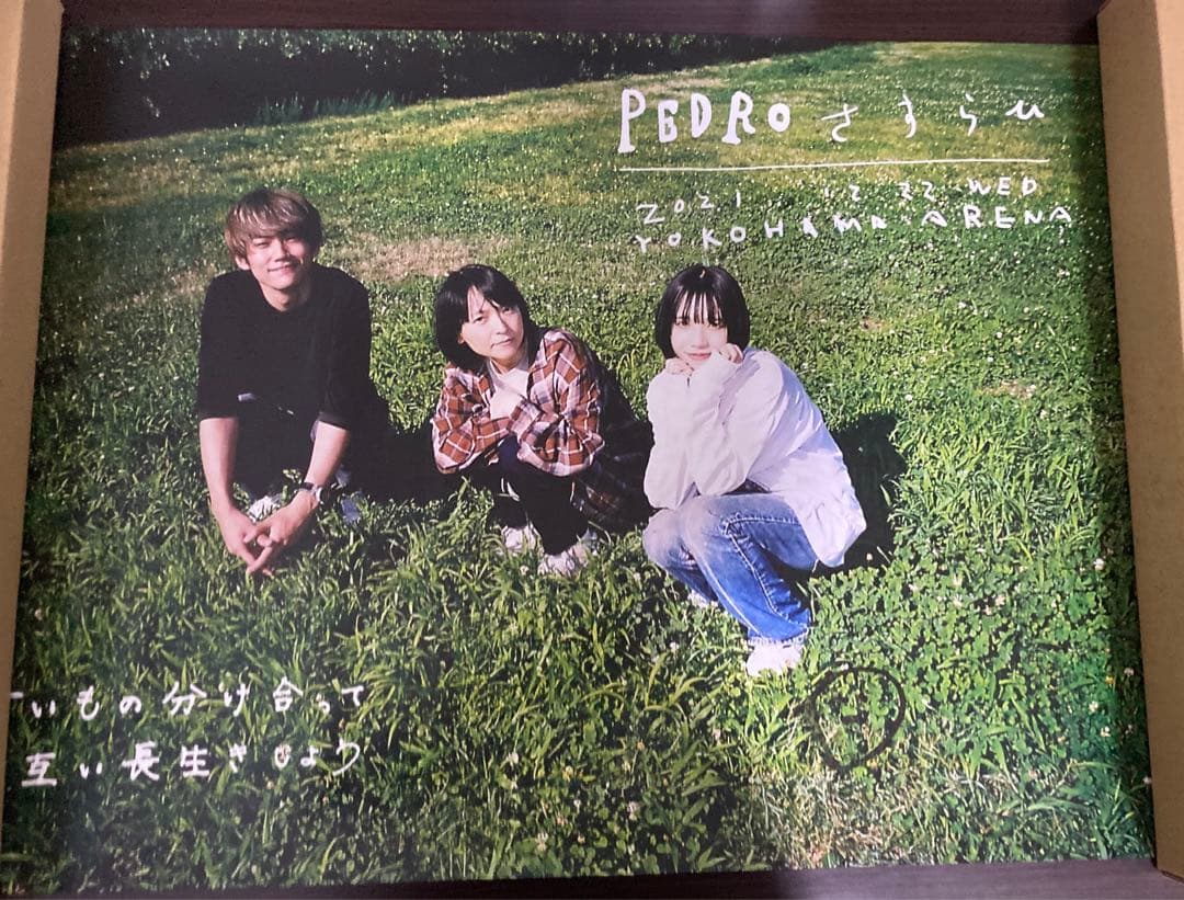 PEDRO ポスター　5枚セット　アユニ・D アユニD