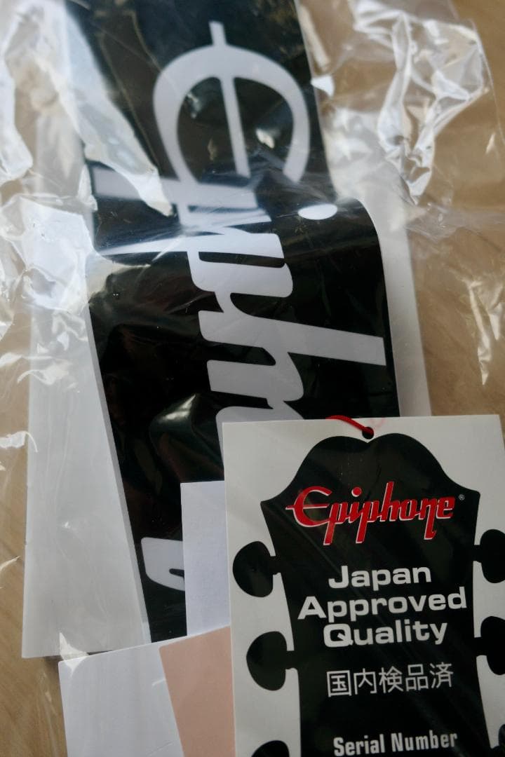 ギター EPIPHONE BACK TO THE FUTURE ES-345