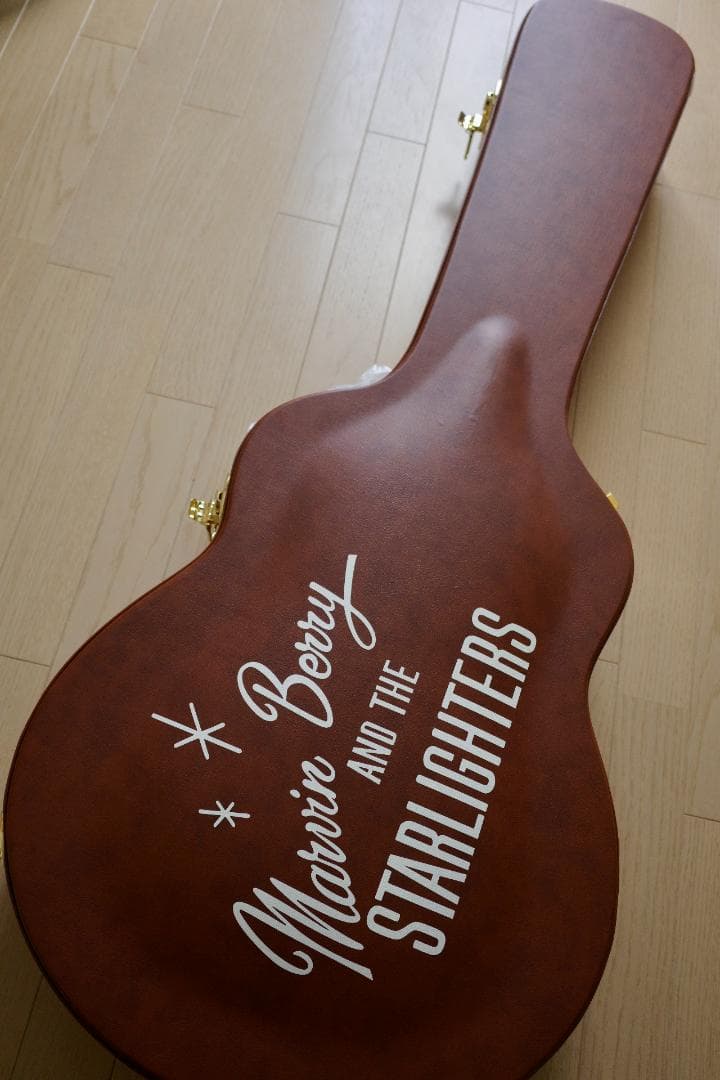 ギター EPIPHONE BACK TO THE FUTURE ES-345