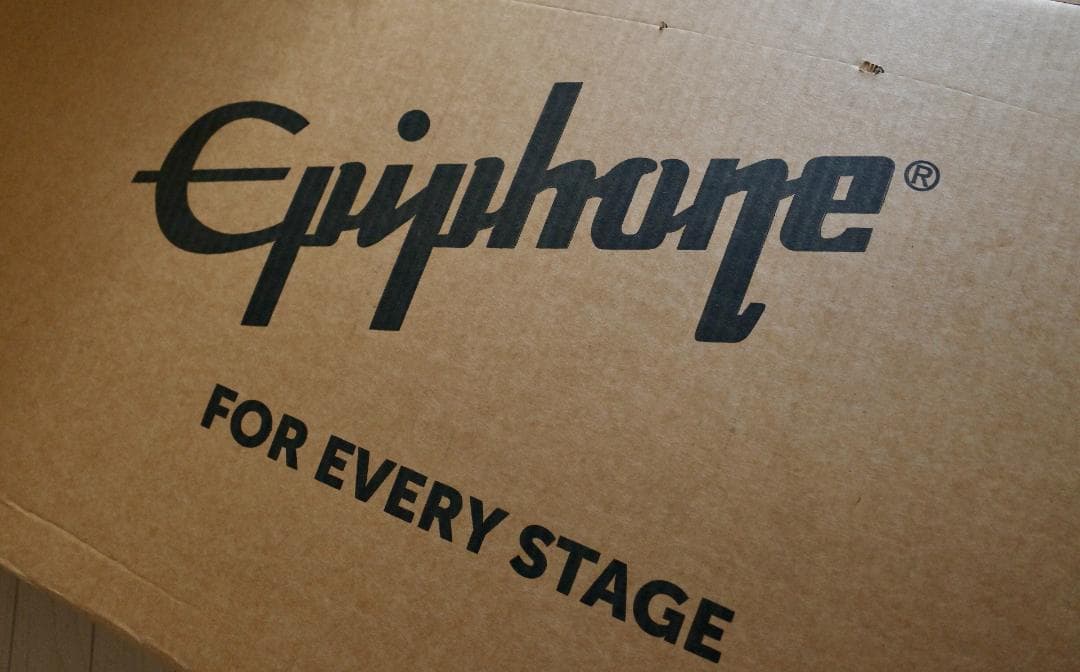 ギター EPIPHONE BACK TO THE FUTURE ES-345