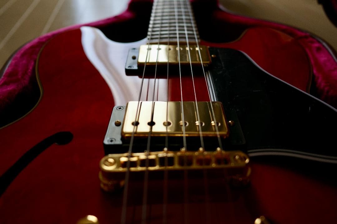 ギター EPIPHONE BACK TO THE FUTURE ES-345