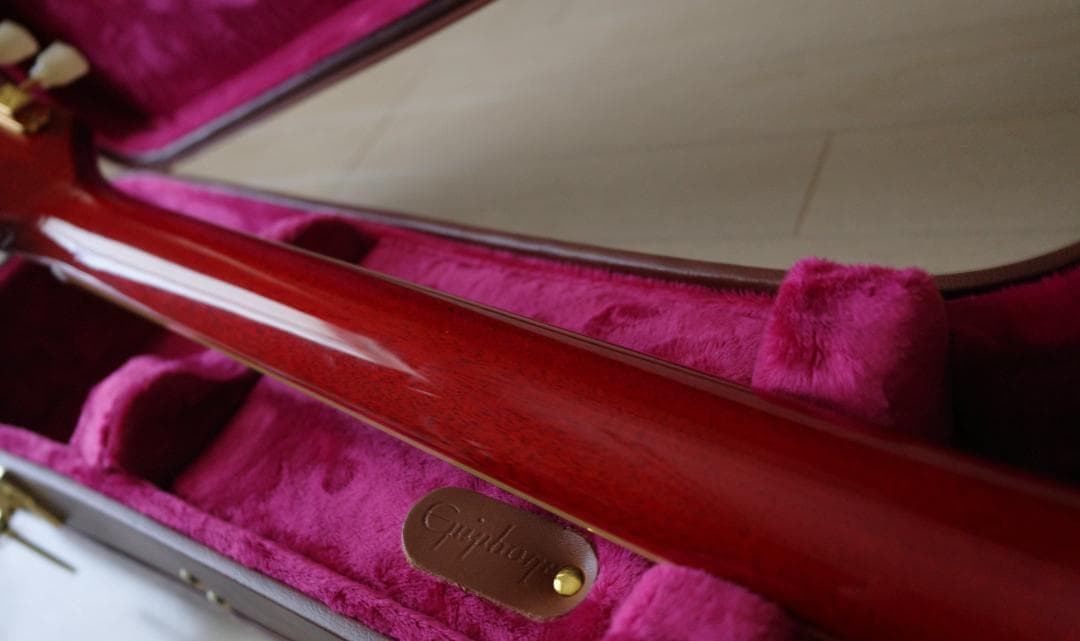 ギター EPIPHONE BACK TO THE FUTURE ES-345