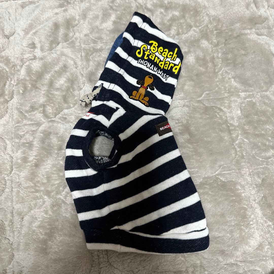 アトリエgg サイズ 1