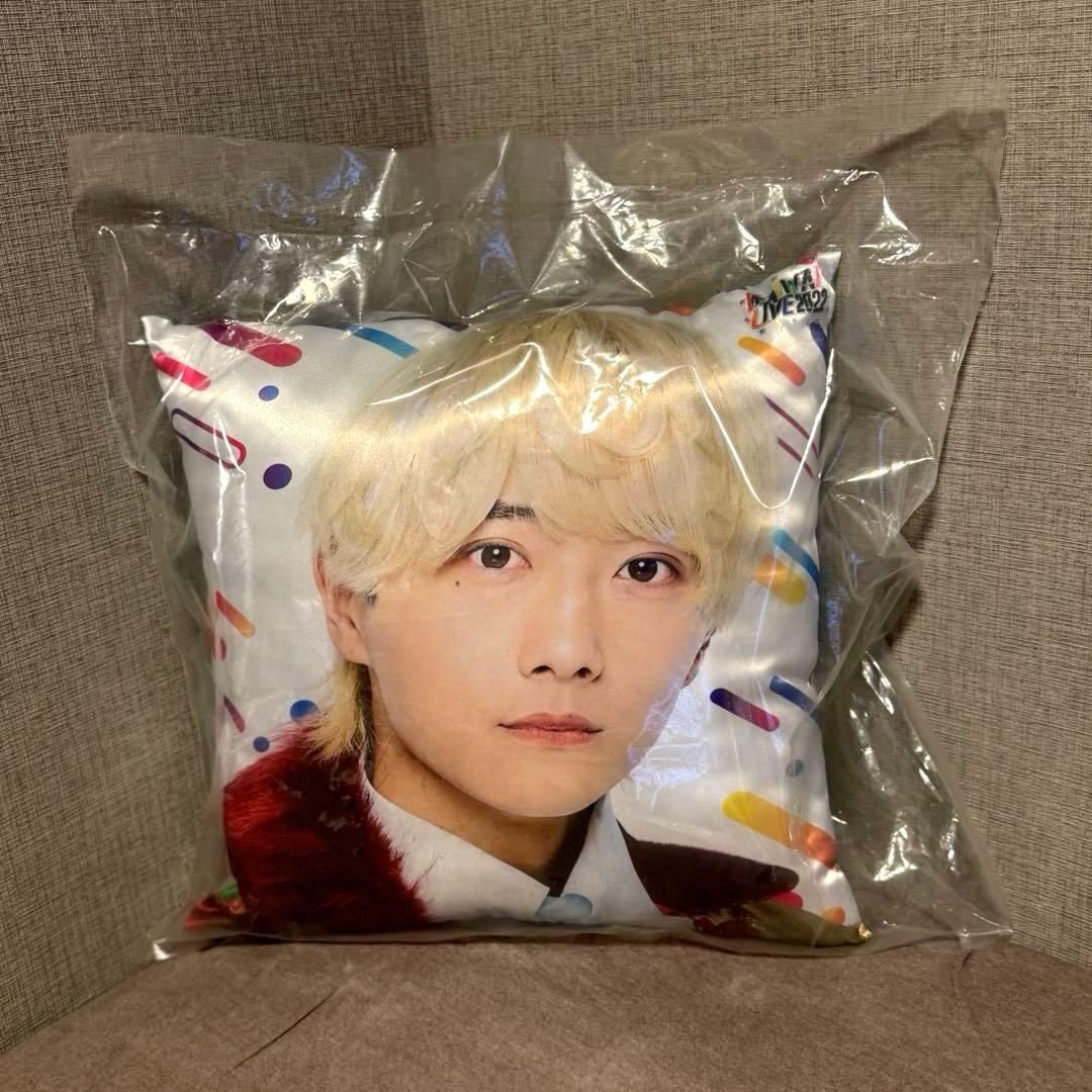 WAIWAI LIVE 9bic 椚三波斗 ビッグサイズクッション