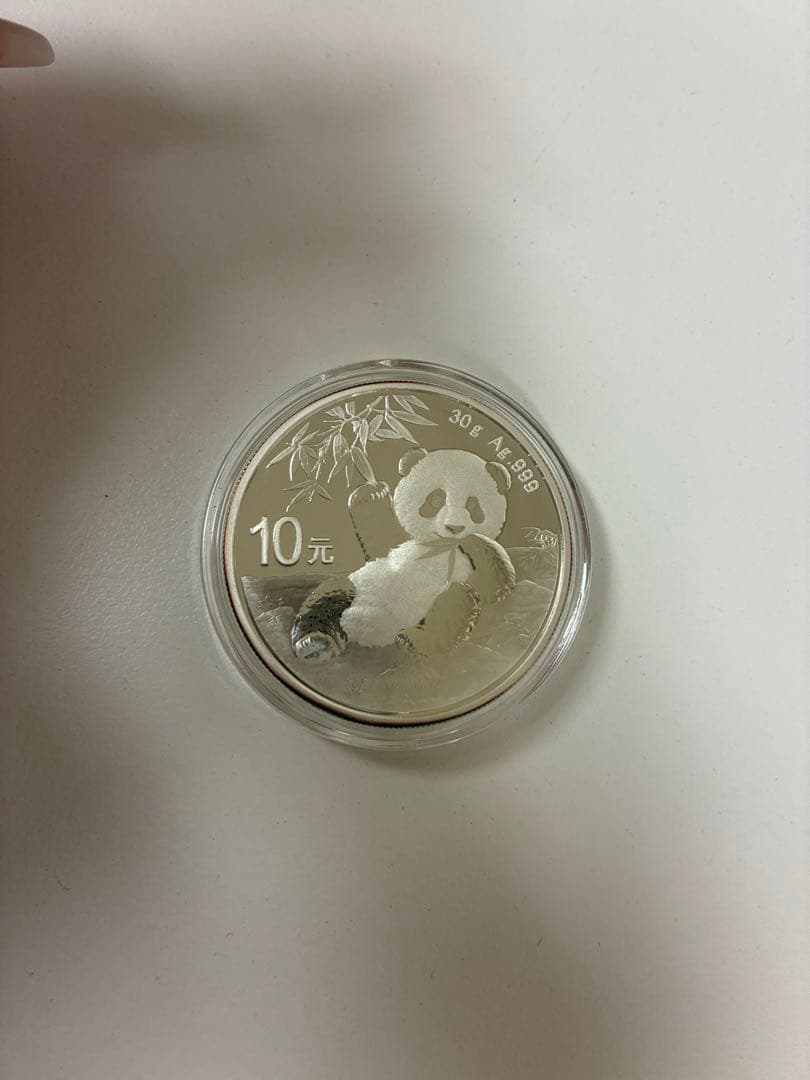 2020年　中国　パンダメダル10元 （クリアケース付き）