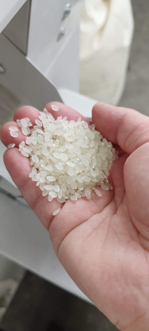 りんりん♪ゆうだい21　30キロお米