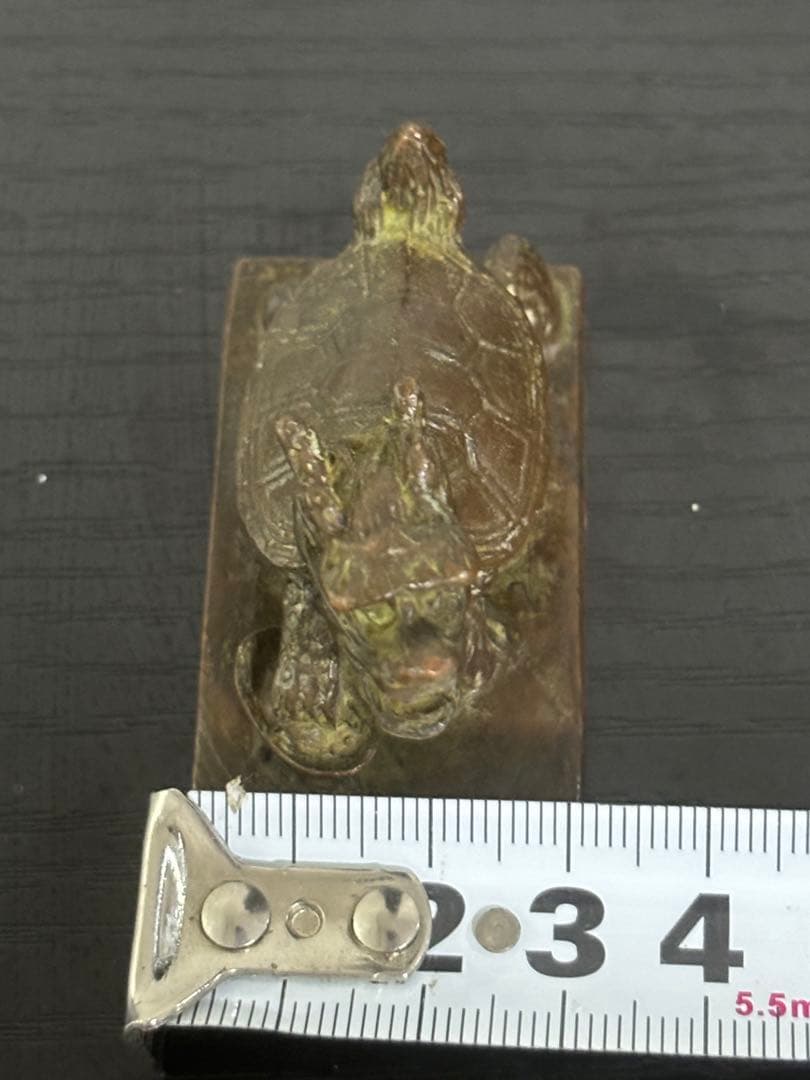 中国　龍亀　印鑑