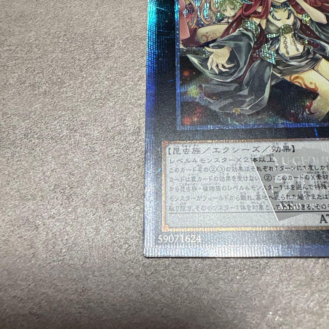 遊戯王 アロメルスの蟲惑魔 20th
