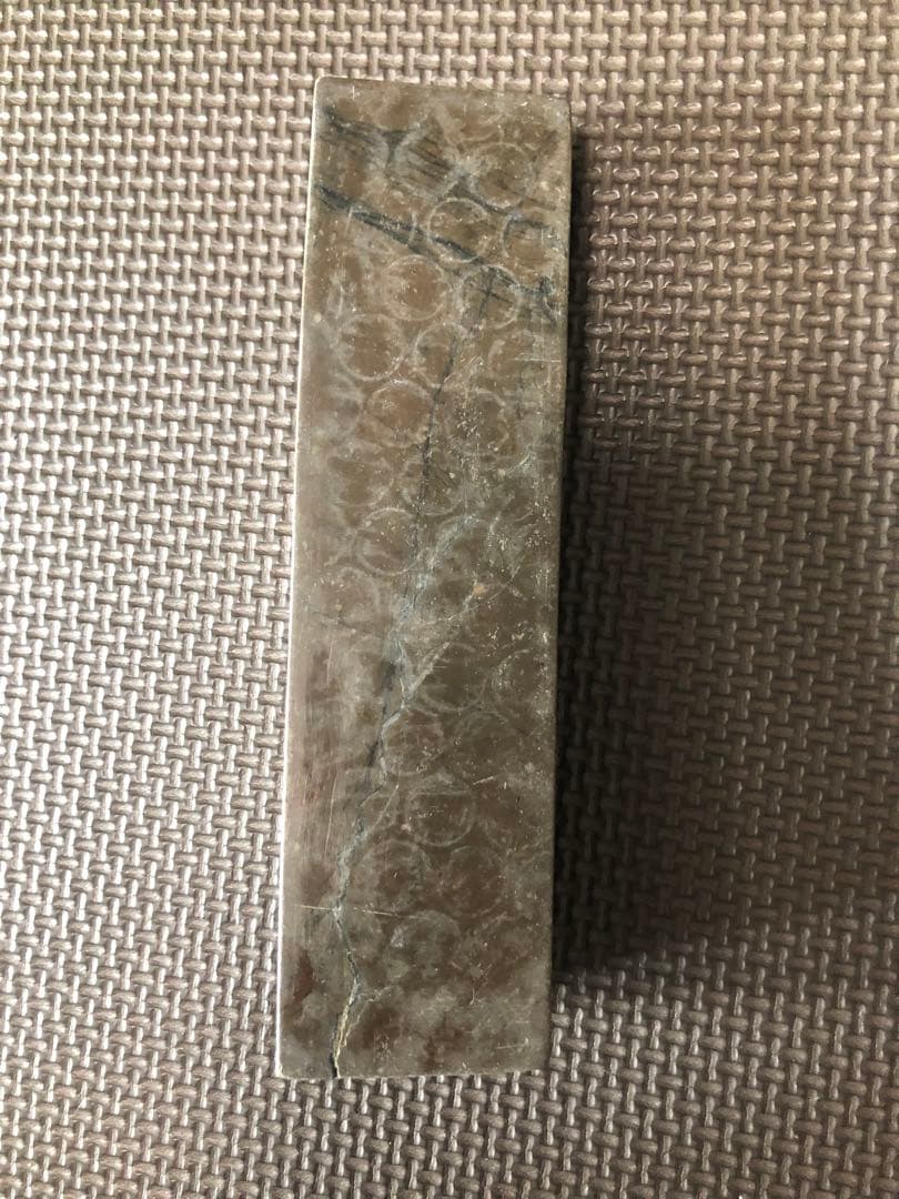 謎の化石(リツイテスと思われる)