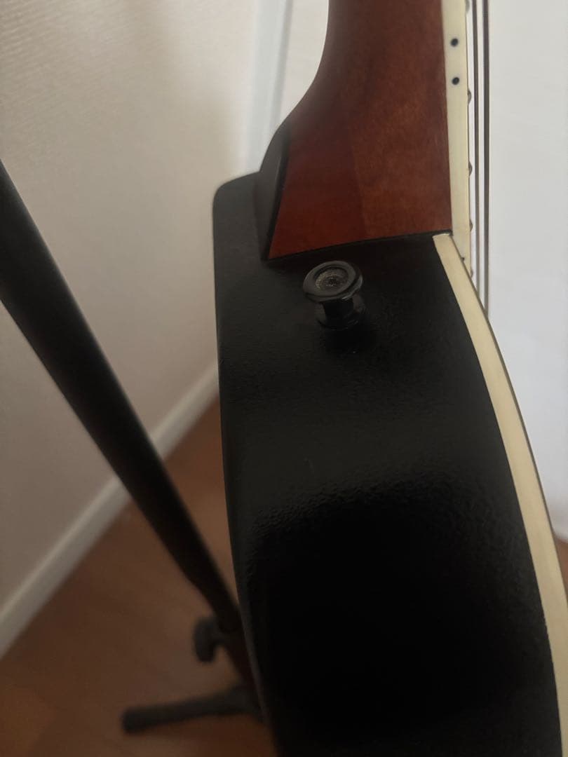 訳あり　Aria エレアコ AMB-35 BLS