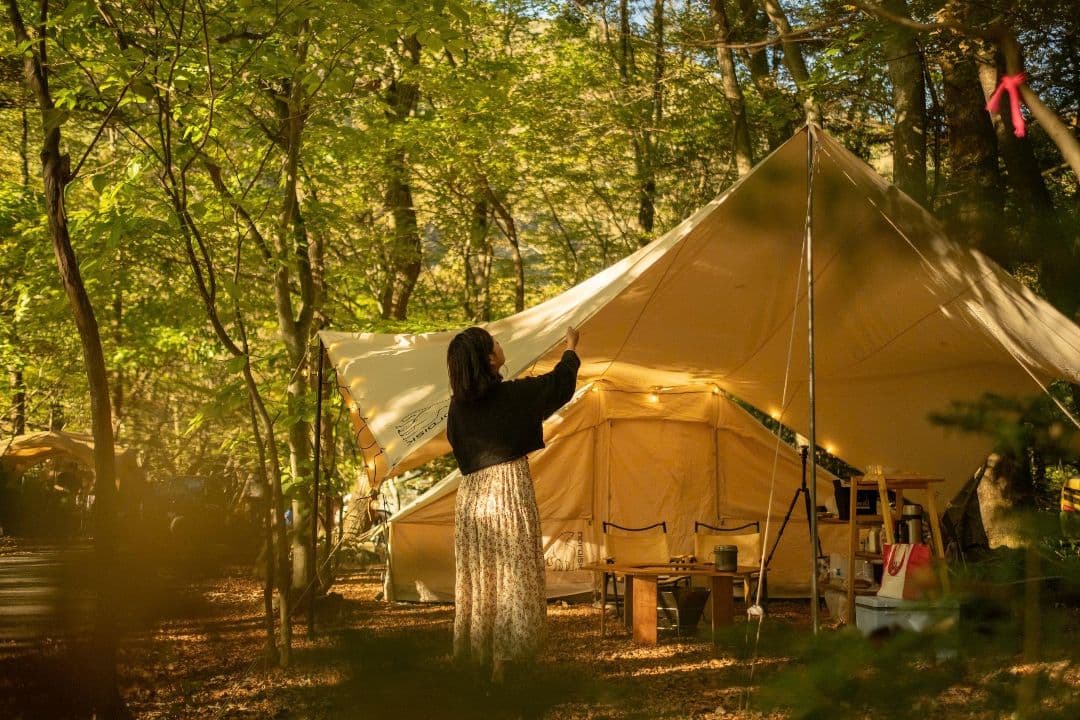 カリ20　タープ