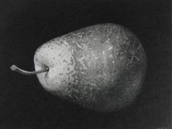 野田 弘志　「洋梨」　細密・鉛筆画集より　新品高級額装付