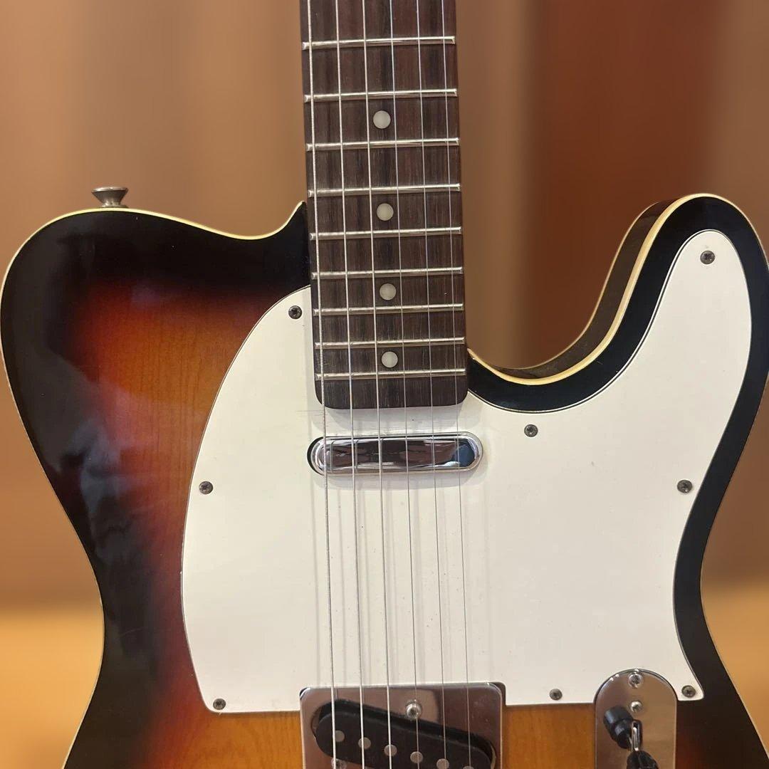 Mavis Telecaster Type新品弦張替済・ソフトケース付