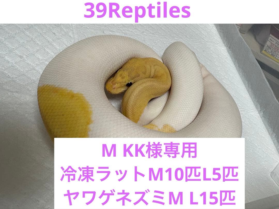 M KK　冷凍ラットM 10L5 ヤワゲネズミM L15おまけ入り