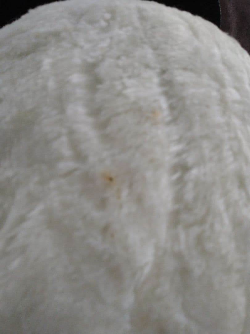 お値下げ特別展示品モンチッチ２Ｌ雪だるまの着ぐるみ