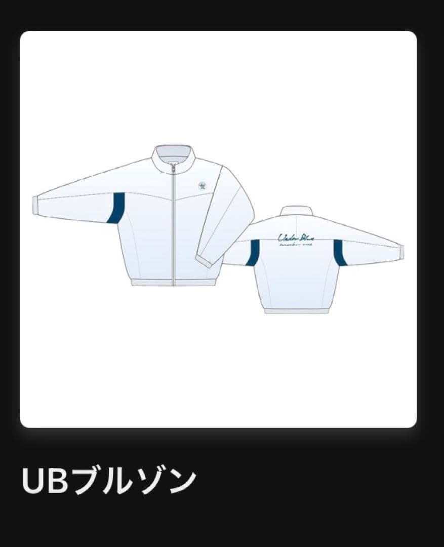 Eve Arena Tour 2025 , Eve賞 UBブルゾン