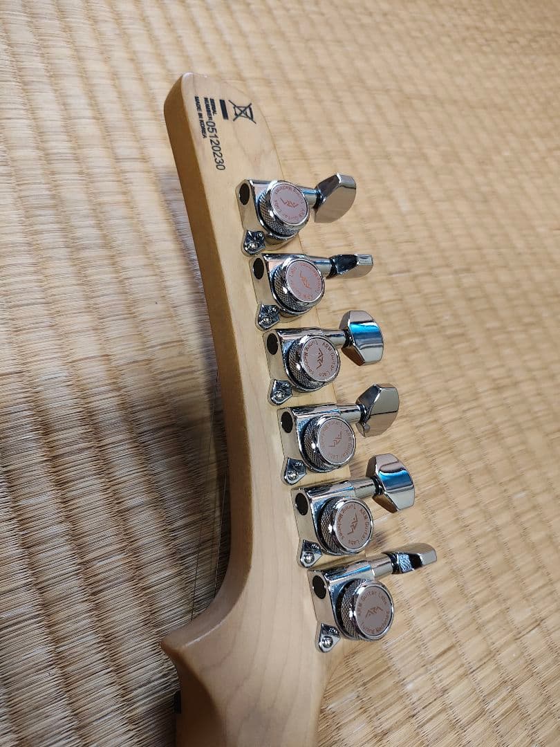 Parker ステンレスフレット化、ロックペグ化済