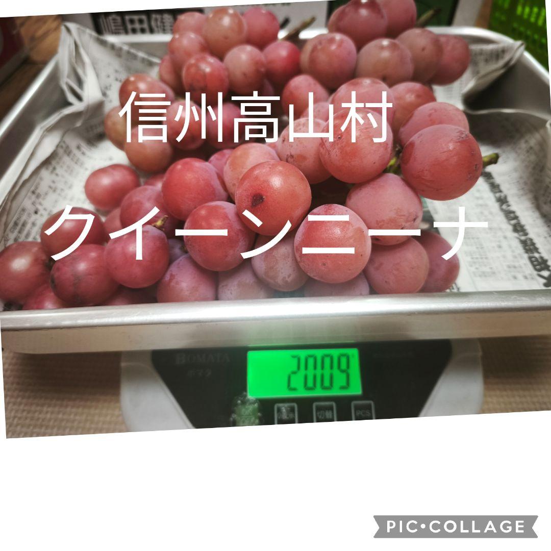 残り少ない【信州高山村のクイーンニーナ2キロ】ぶどう